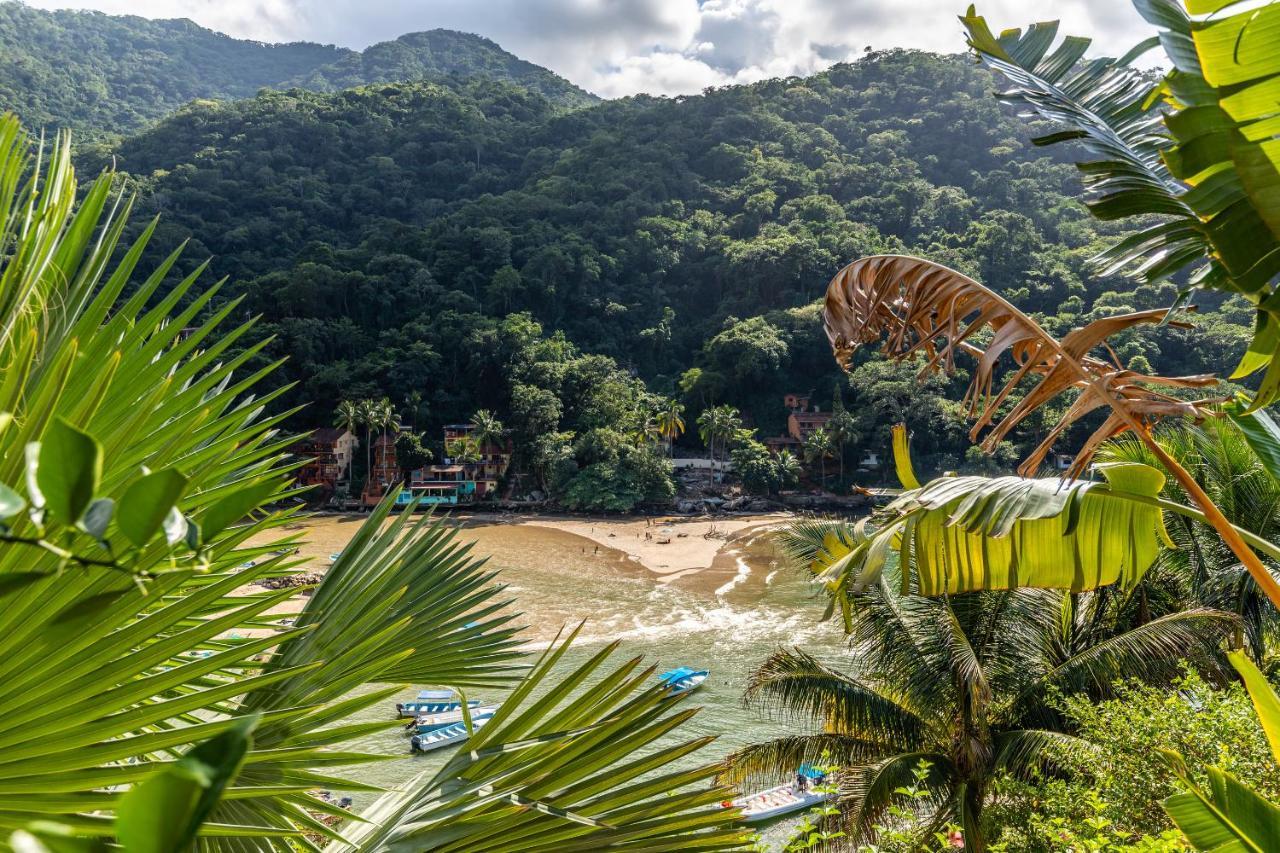 Pv South Shore Luxury Suites And Villa For Rent Puerto Vallarta Dış mekan fotoğraf